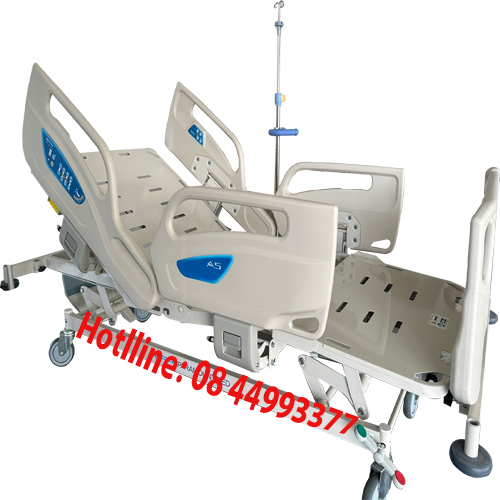 Mua giường Paramount Bed ở quận 1 HCM